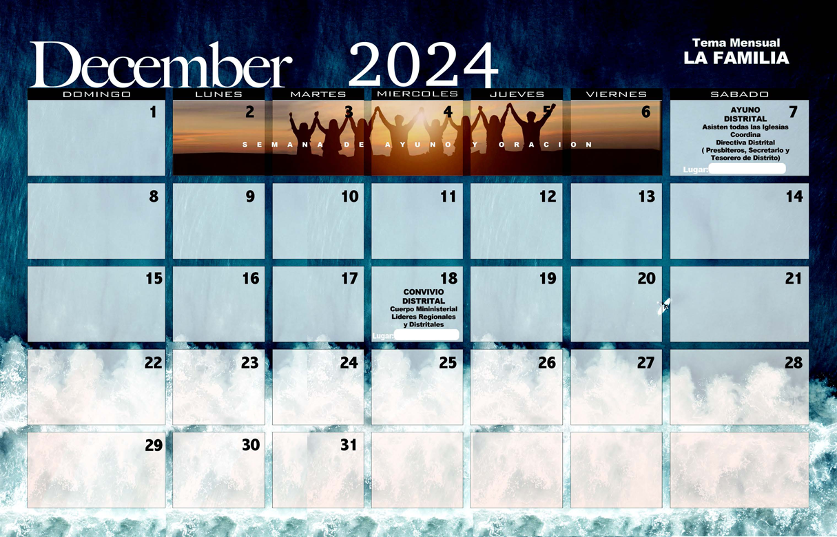 diciembre-2024-iddpmi